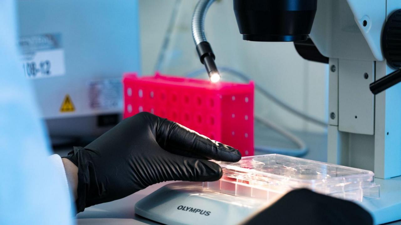 columbia stem cell treatment cost